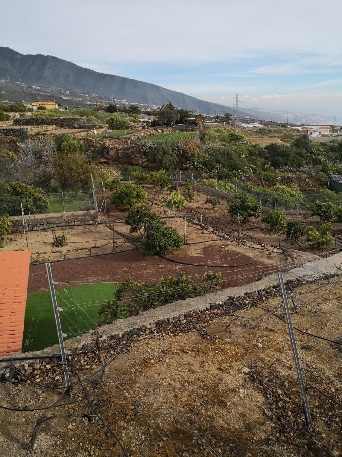 Casa El Cabuko Villa Arafo Bagian luar foto